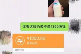 黑老大要账：揭开黑恶势力背后的真相